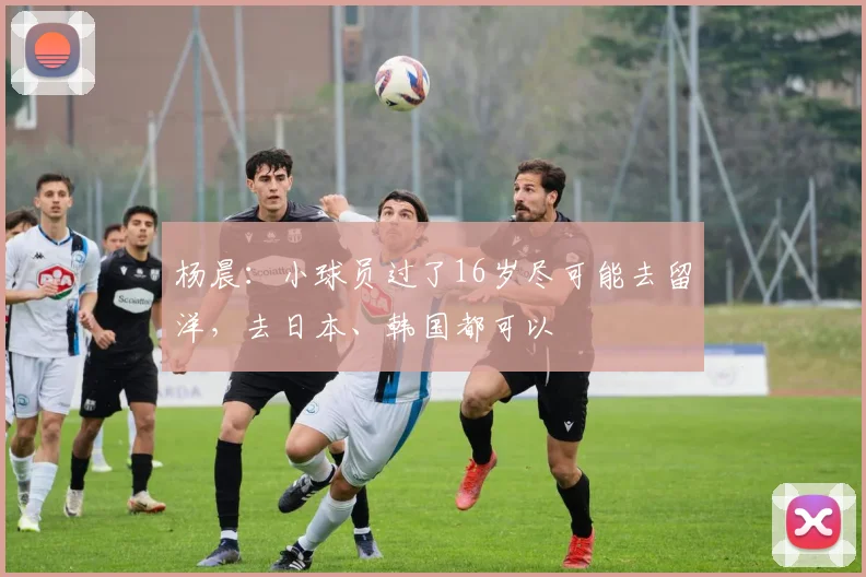 杨晨：小球员过了16岁尽可能去留洋，去日本、韩国都可以
